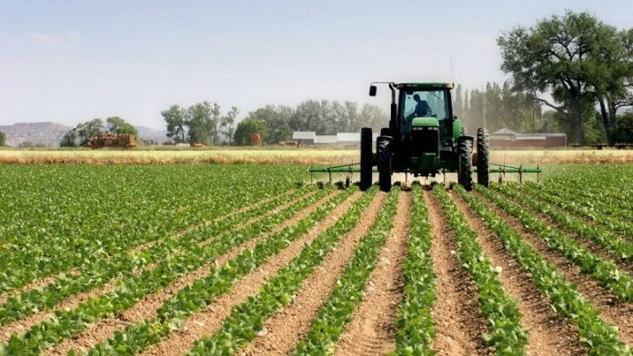 Fermerët duhet të lejohen të punojnë tokat e tyre