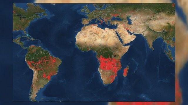 Harta e NASA-s tregon se si bota përfshihet nga zjarret