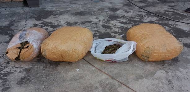 Policia e Kosovës sekuestron mbi pesë kilogramë marihuanë