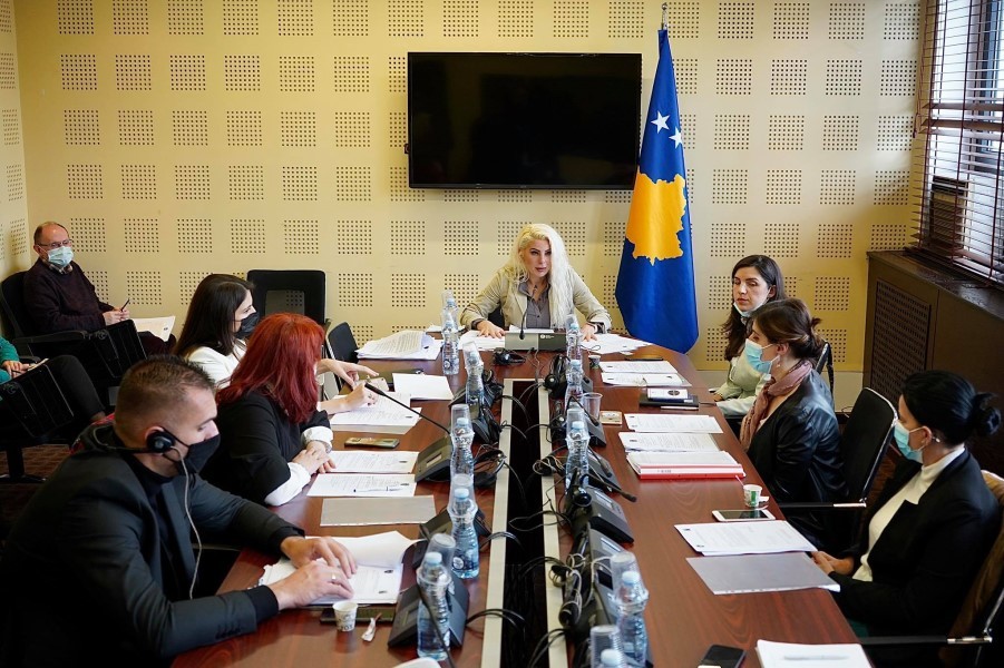 Komisioni për të Drejtat e Njeriut viziton Krushën e Madhe dhe Mejen
