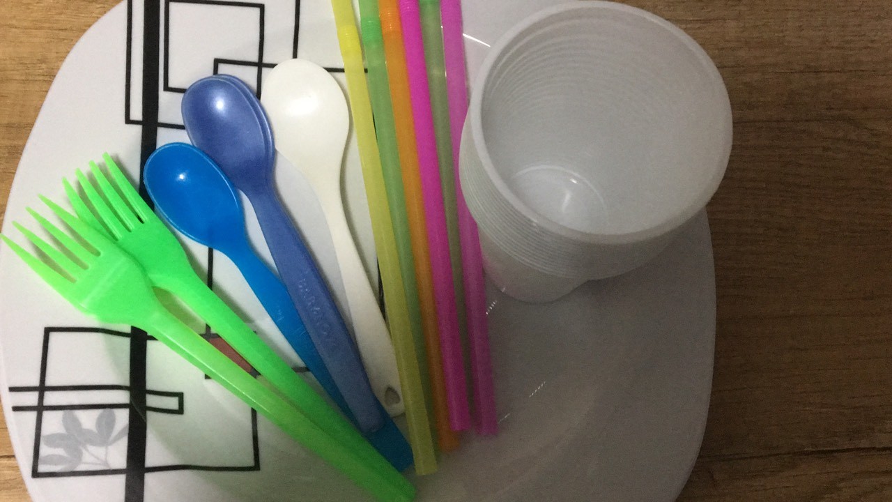 PE voton kundër përdorimit të produkteve plastike