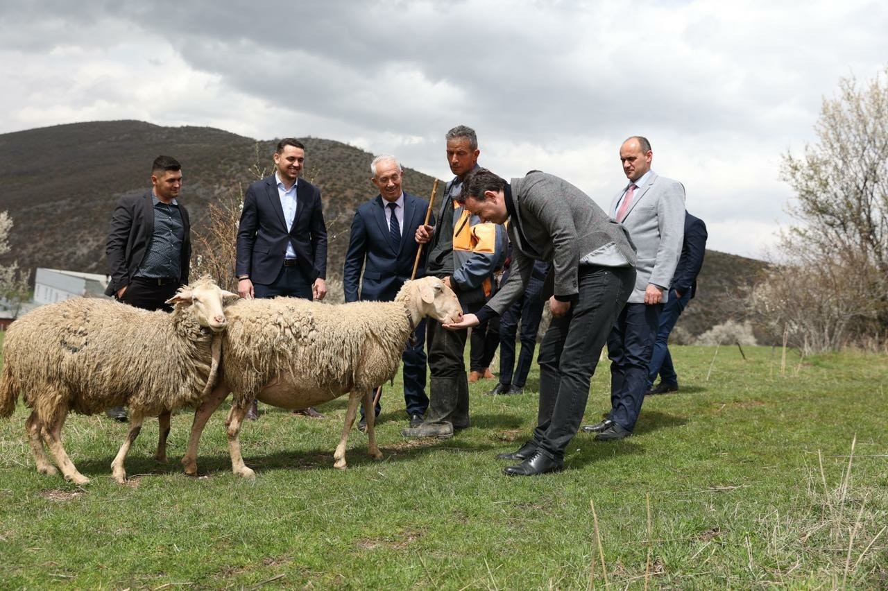 MBPZHR përkrah fermerët për zgjerimin e veprimtarive të tyre blegtorale