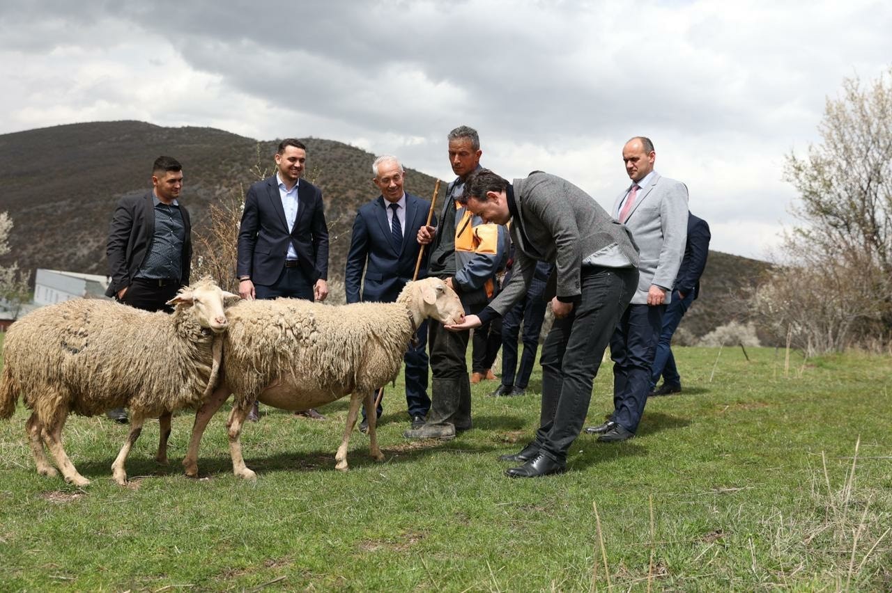 MBPZHR përkrah fermerët për zgjerimin e veprimtarive të tyre blegtorale 