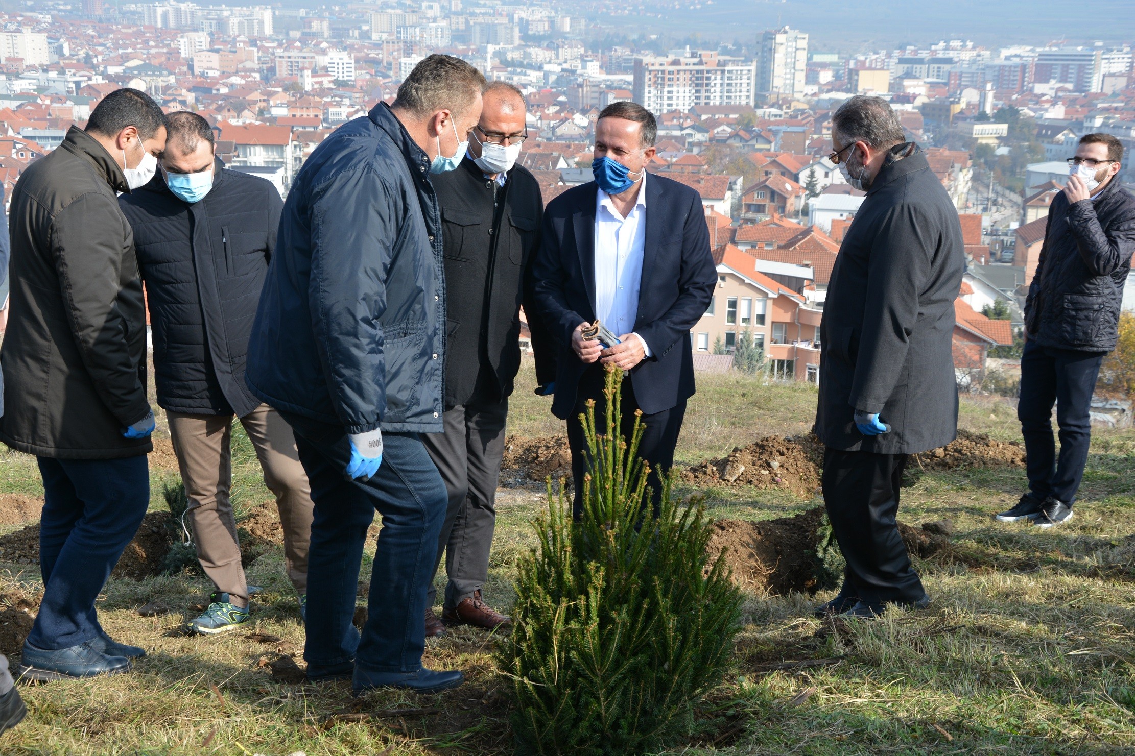 Mbjellen 1 000 fidaneve në Gjilan