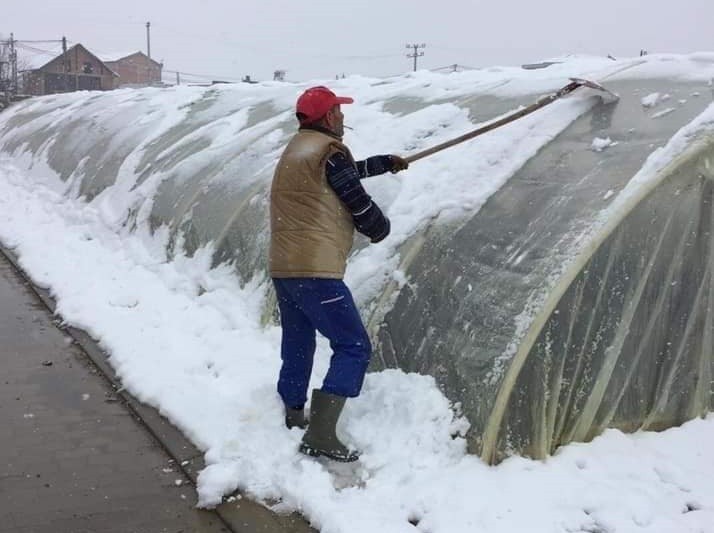Komuna e Rahovecit inkurajon fermerët që t'i pastrojnë serrat nga bora
