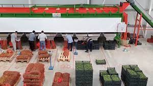 Inaugurohet objekti i ri për përpunimin e frutave dhe perimeve në Prugovc