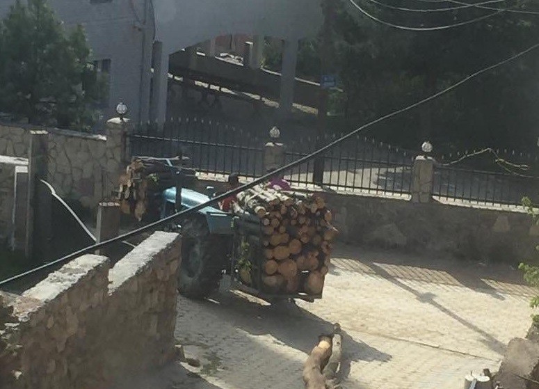 Policia dhe Inspektorati kontrollojnë dëmtimin e pyjeve