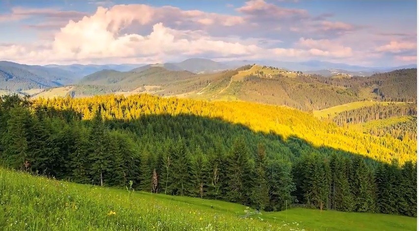 Agjencia e Pyjeve të Kosovës bën thirrje për mbrojtjen e pyjeve nga zjarre