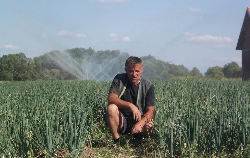 Kur mungojnë të pagjumët në përgjumjen e madhe