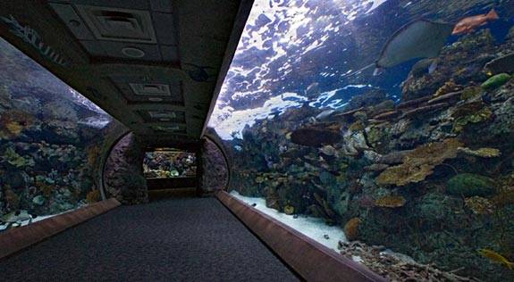 Evropë Perëndimore - Skandinavi, ndërtohet tuneli nënujor