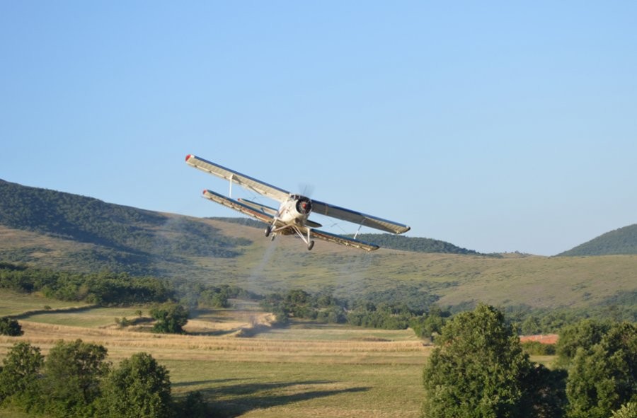 Nga 20 maj zhvillohet fushata e vaksinimit nga ajri të kafshëve të egra