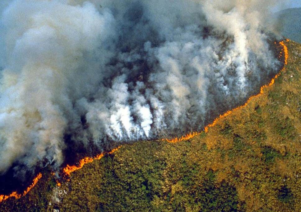 Zjarret në Amazonë po kthehen në një shqetësim ndërkombëtar