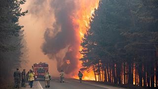 Rusia përfshihet nga zjarret, digjen mbi 1 milion hektar siperfaqe